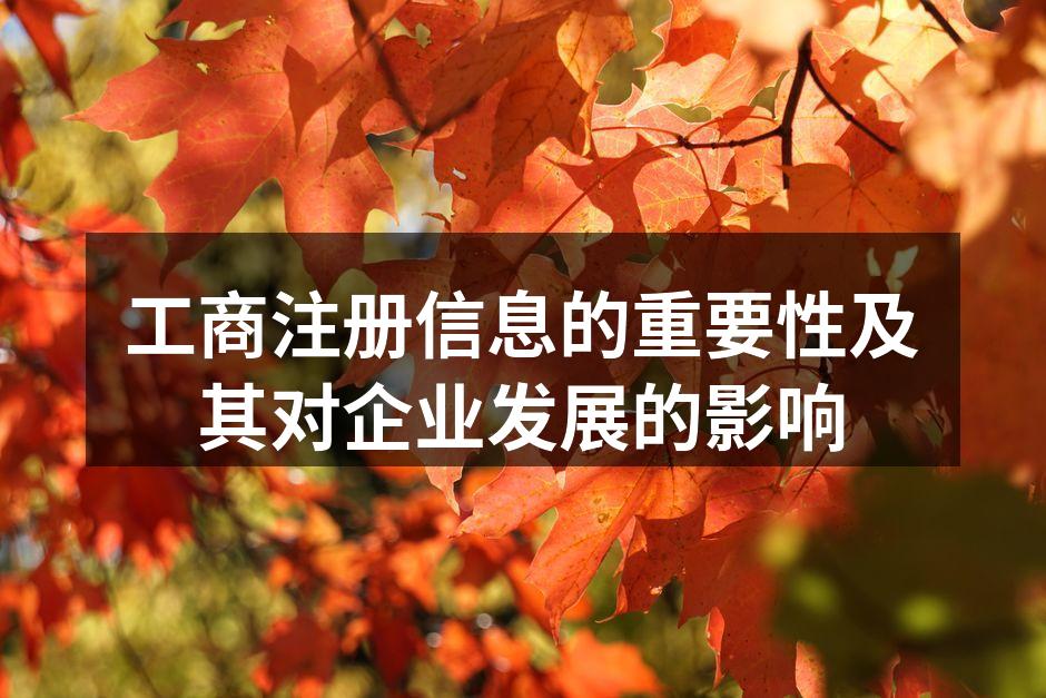 工商注册信息的重要性及其对企业发展的影响
